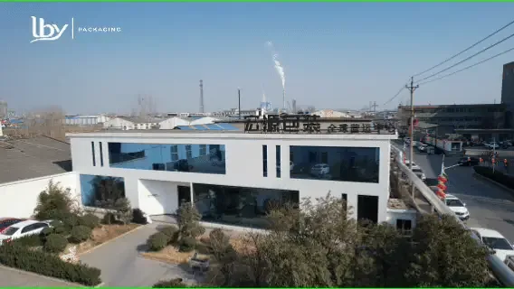 LBY Packaging factory overview