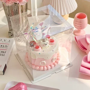 Fully Transparent Cake Boxes - In-Stock Collection